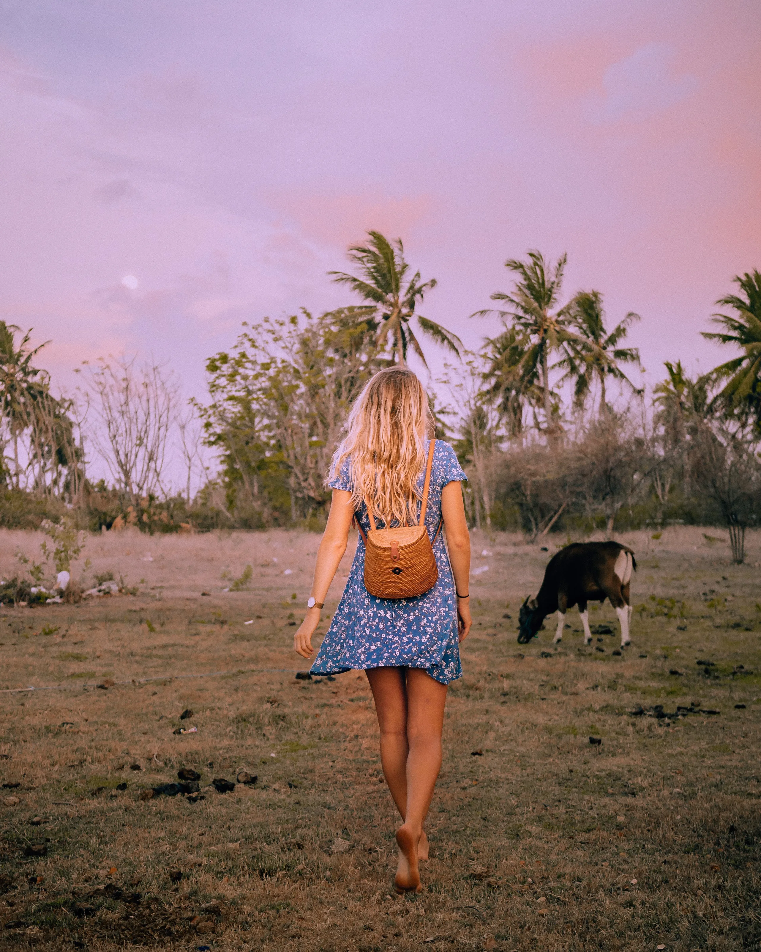 Vegan Bingin Rattan Backpack